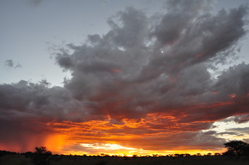 The Namibian Sky.