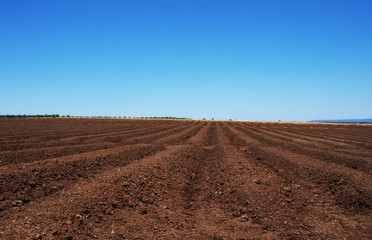 Furrows row pattern in a plowed land prepared for planting