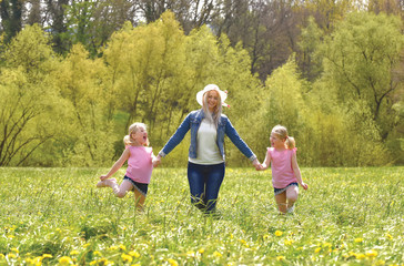 Fototapeta premium A young mother takes her twin daughters for a walk in a flower field. They stroll along in the field having fun together.