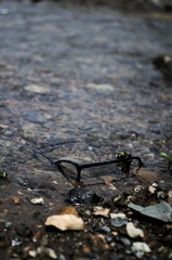 川に落ちたメガネ