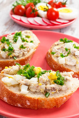Slice of baguette with fish paste, egg, tomato and radish