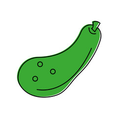zucchini vegetable icon image