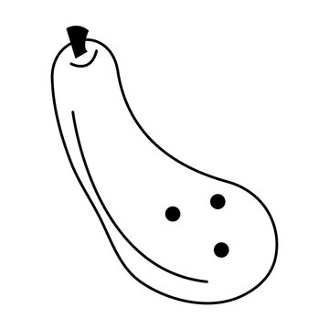 zucchini vegetable icon image