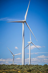 wind turbines generating electricity on a windy sunny day
