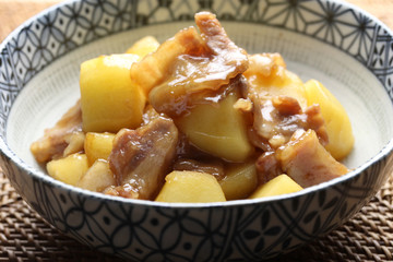 豚肉とジャガイモの煮物／Japanese food / simmered potatoes of pork