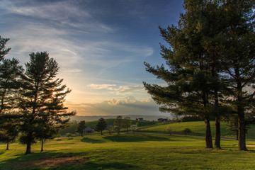 Golden light plays over the grass and trees of the countryside, casting long, luxuriant shadows.