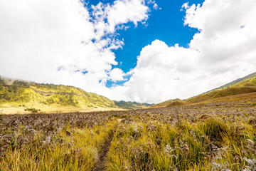 Grass field and mountain hill landscape with cloudy blue sky background