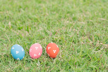 Colorful easter eggs on green grass
