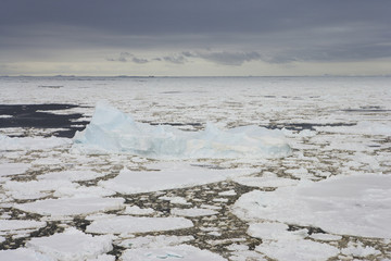 Icebergs in pack Ice, Antarctic Sound, Antarctica © Enrique
