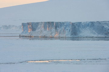 Icebergs in pack Ice, Antarctic Sound, Antarctica © Enrique