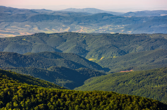forest on a  mountain slope viewed from the top
