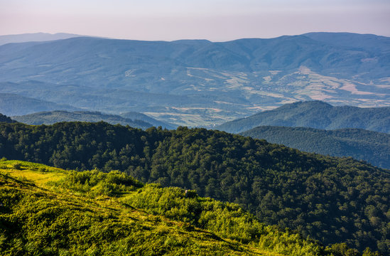 forest on a  mountain slope viewed from the top