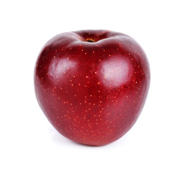 Red apple on white background