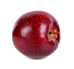 Red apple on white background
