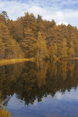 Fototapeta na wymiar Landscape lake and forest