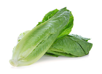 Cos lettuce on white background.