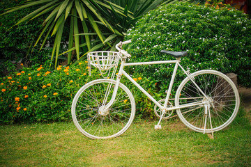 Fototapeta na wymiar The old bicycle in the green park