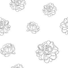 jasmine flower use in traditional mother's day , hand draw sketch seamless pattern vector.