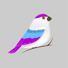 Vector color image of a bird, bird design icon