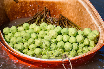 Water splash to Stack of fresh unopened green lotus buds in the orange plastic basin floating in a pond at Ratchaburi, Thailand.