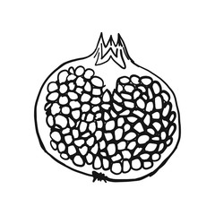 Pomegranate, sketch for your design