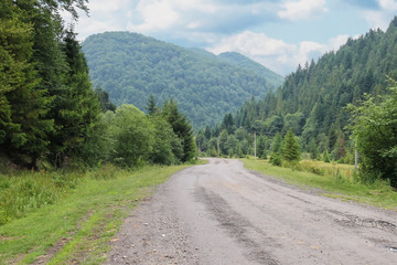 Fototapeta na wymiar Country road between small settlements in the Carpathians, Ukraine