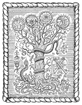 Black and white drawing with mystic and christian religious symbols as snake, tree of knowledge and forbidden fruit in frame