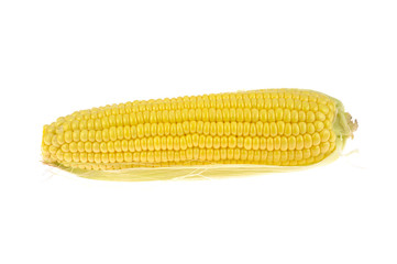 Corn cob isolated on white background