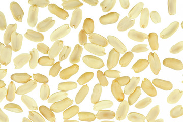 Arranged peanuts peeled and isolated on white background