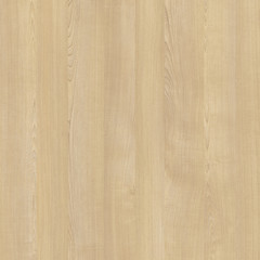 Background of wood texture