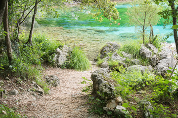 Enchanted Lake. The crystalline waters of Cornino Lake. Friuli