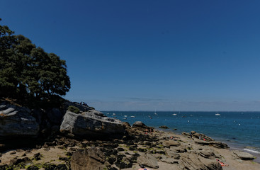 NOIRMOUTIER : cote sauvage