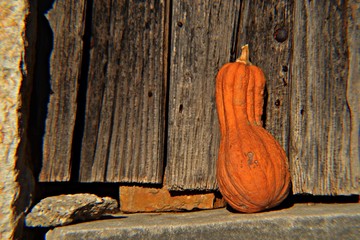 Orange pumpkin at the wooden background
