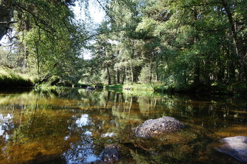 Balade en Forêt  Rocles
