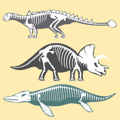 Fototapeta na wymiar Dinosaurs skeletons silhouettes set fossil bone tyrannosaurus prehistoric animal dino bone vector flat illustration.