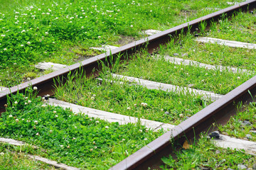 Train tracks covered with grass