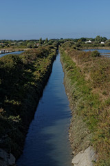 NOIRMOUTIER : vue d'un Etier