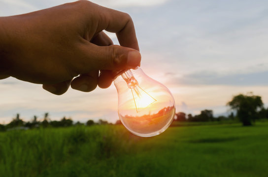 hand hold light bulb and sunset power energy concept nature