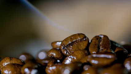 Roasted coffee seed macro
