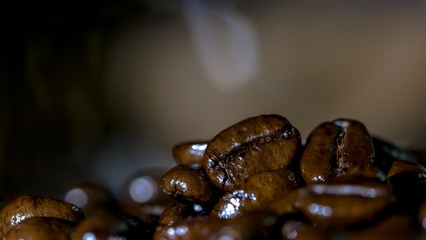 Roasted coffee seed macro
