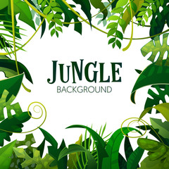 Naklejka premium Dżungla Tropikalnych Liści Tło. Plakat z palmami. Ilustracji wektorowych