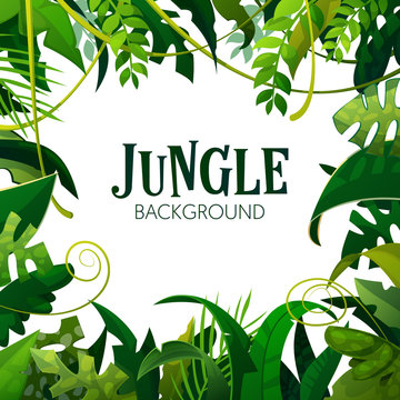 Jungle Tropical Leaves Background. Palm Trees Poster. Vector illustration