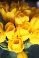 A bouquet of fresh yellow tulips in a vase