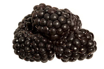 Blackberry isolated on white background