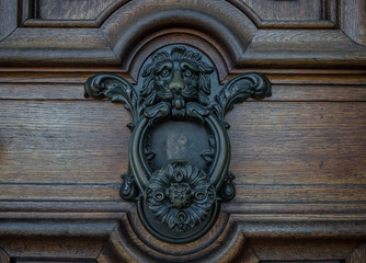Fototapeta na wymiar The old door knocker on a wooden door