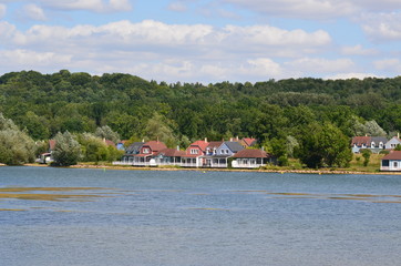 Fototapeta premium étang