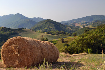 Big hay pack on a meadow on the meadow in central mountains in Italy