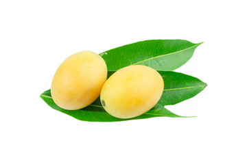 sweet Marian plum thai fruit isolated on white background (Mayongchid Maprang Marian Plum and Plum Mango,Thailand)