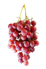 bunches of Summer fresh red grape with white isolate background