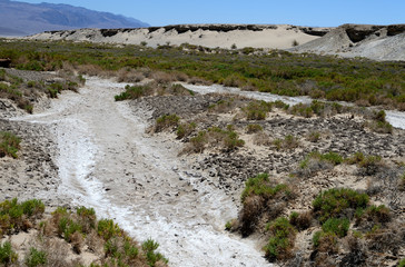 Salt Creek Trail in Death Valley National Park, California, USA